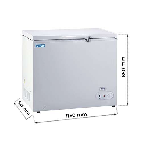 Congelatore a pozzetto con porta cieca temp a -18°C - capacità 242 lt